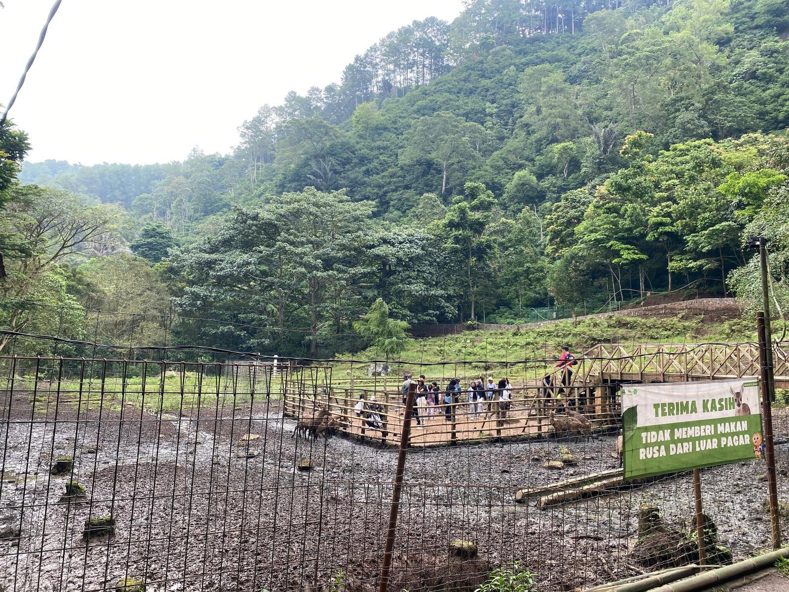 Taman Hutan Raya 2