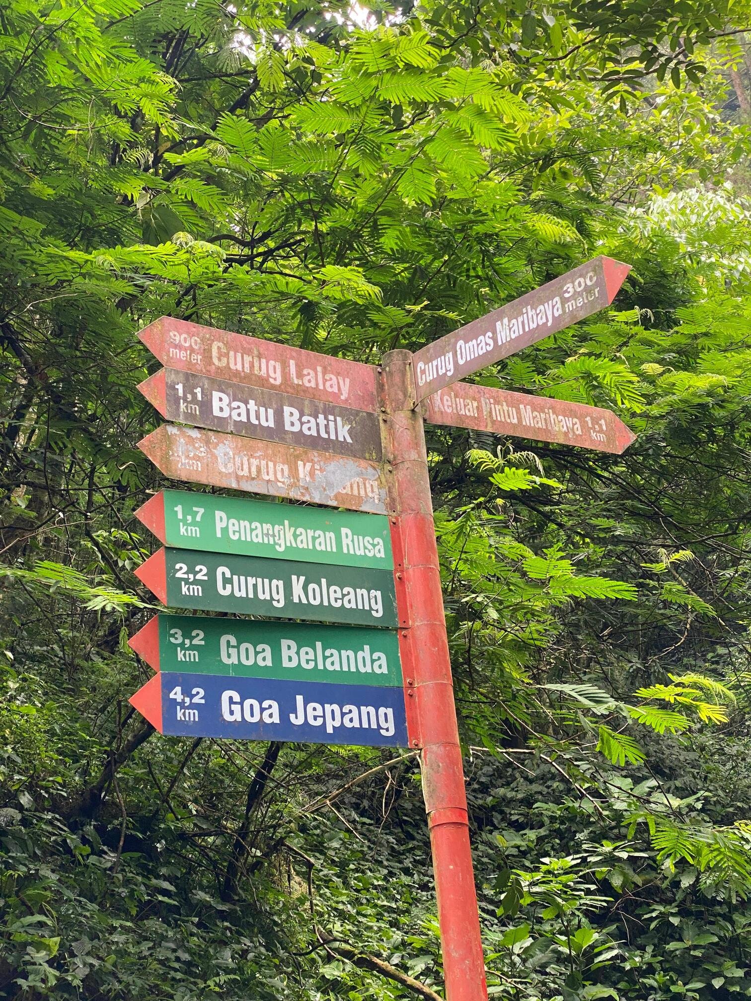 Taman Hutan Raya 1